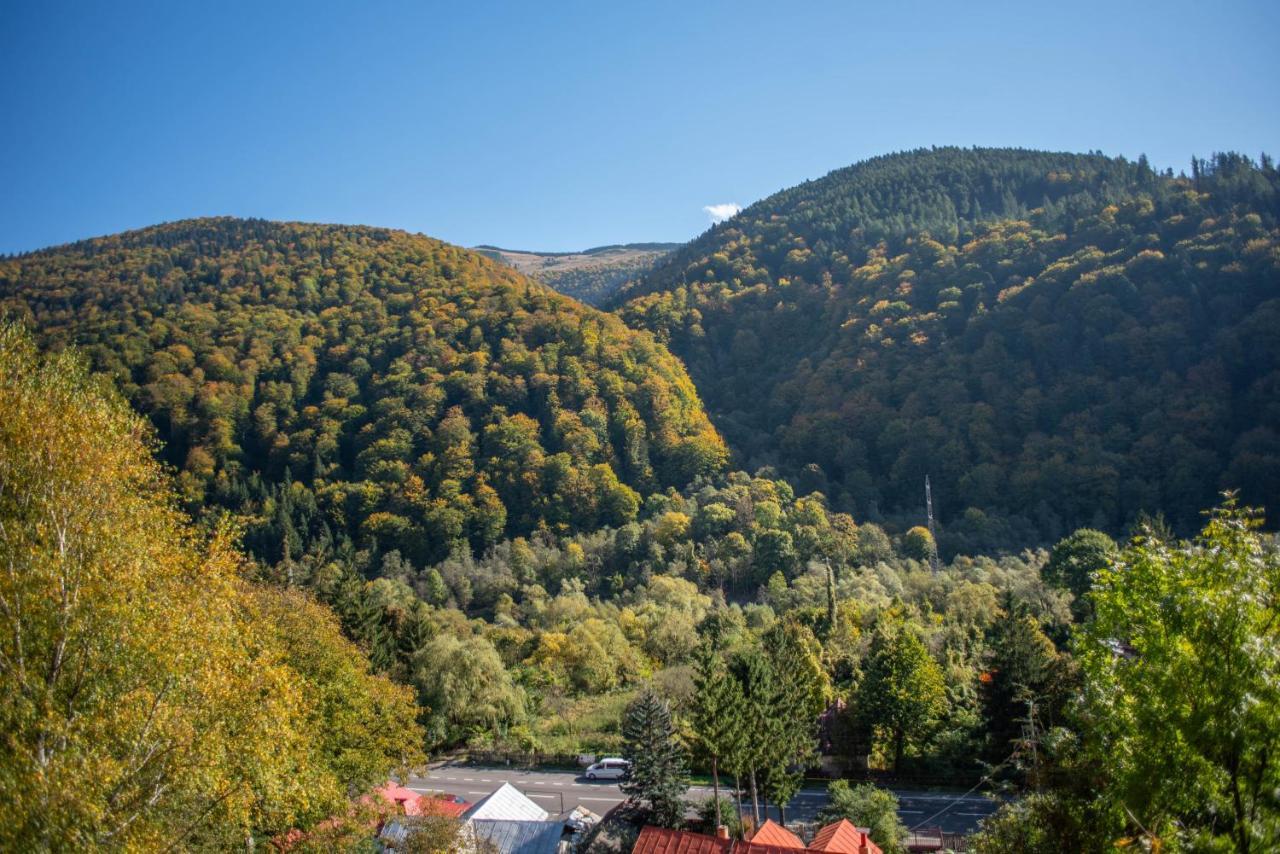 Blue Forest Studio Sinaia Luaran gambar